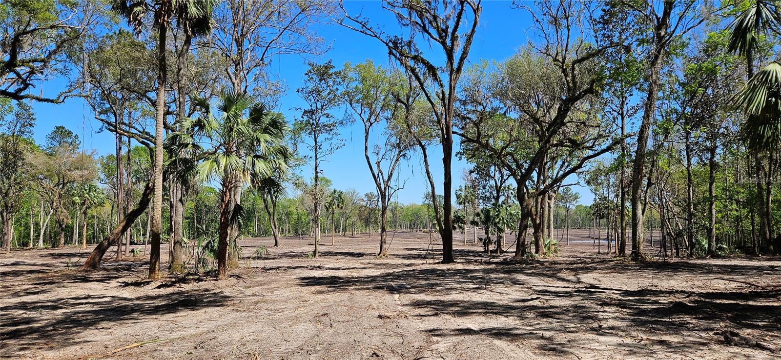 22ac Nw 193rd St Property Photo 6