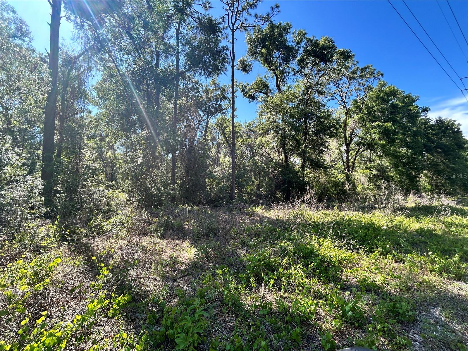 9319 S Florida Ave Property Photo 3