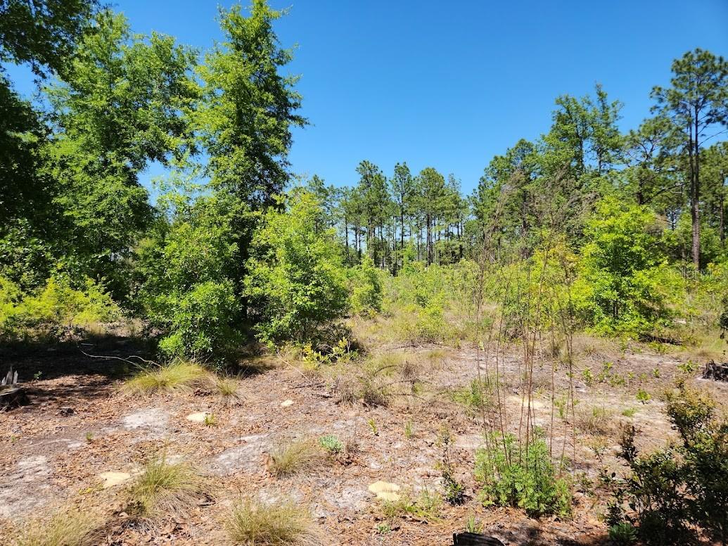 Lot 5 Sw 64th Ln Property Photo 5