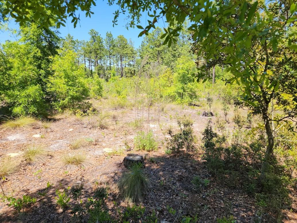 Lot 5 Sw 64th Ln Property Photo 7
