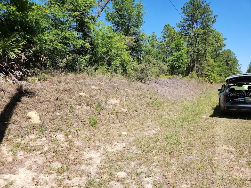 Lot 5 Sw 64th Ln Property Photo 10