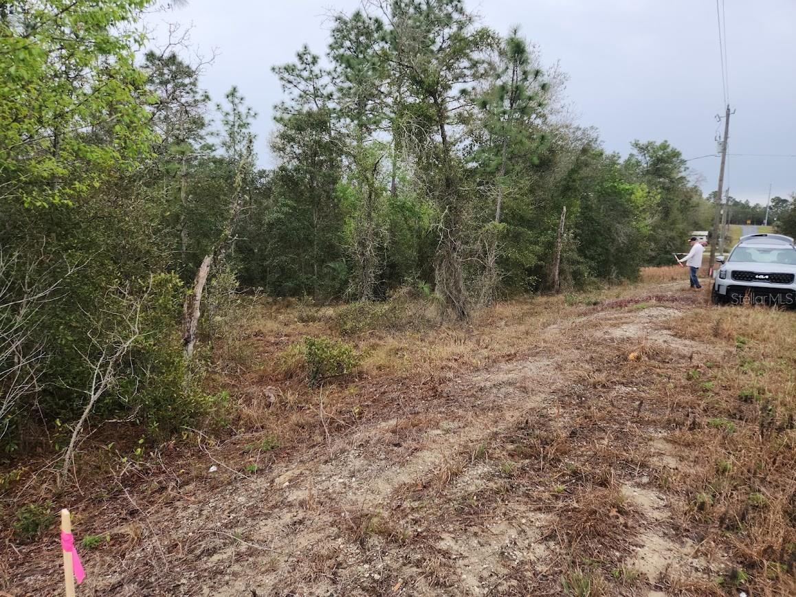 Lot 30 Sw Ivy Pl Property Photo
