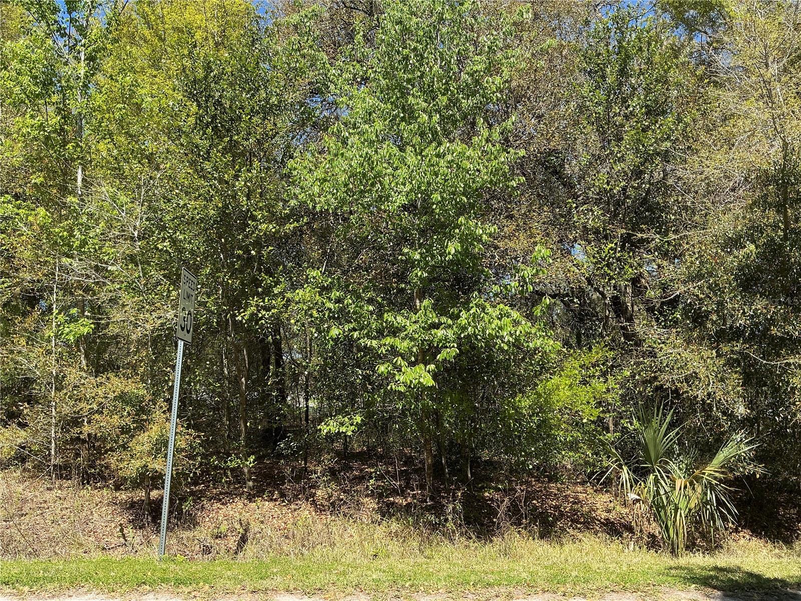0 Se 139th Ln Property Photo