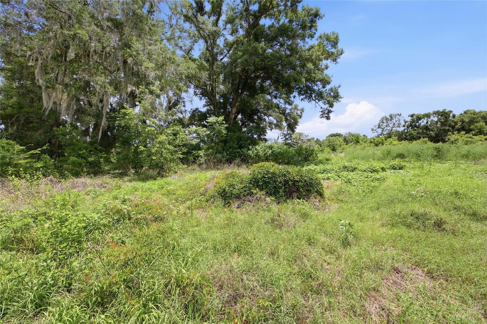 12630 U.s. 441 Property Photo 11