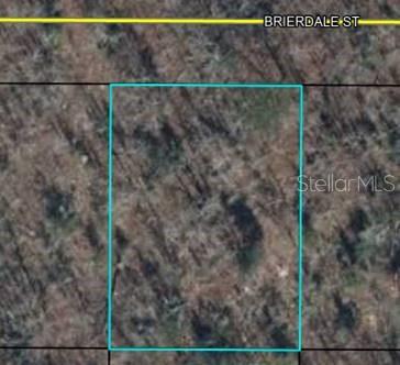 Lot 3 Brierdale St Property Photo