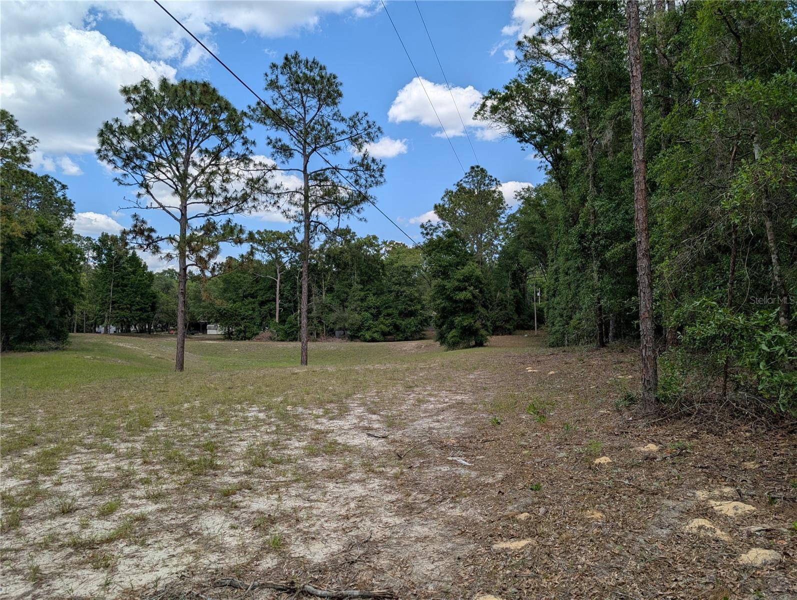 Tbd Sw 93rd Lane Property Photo 4