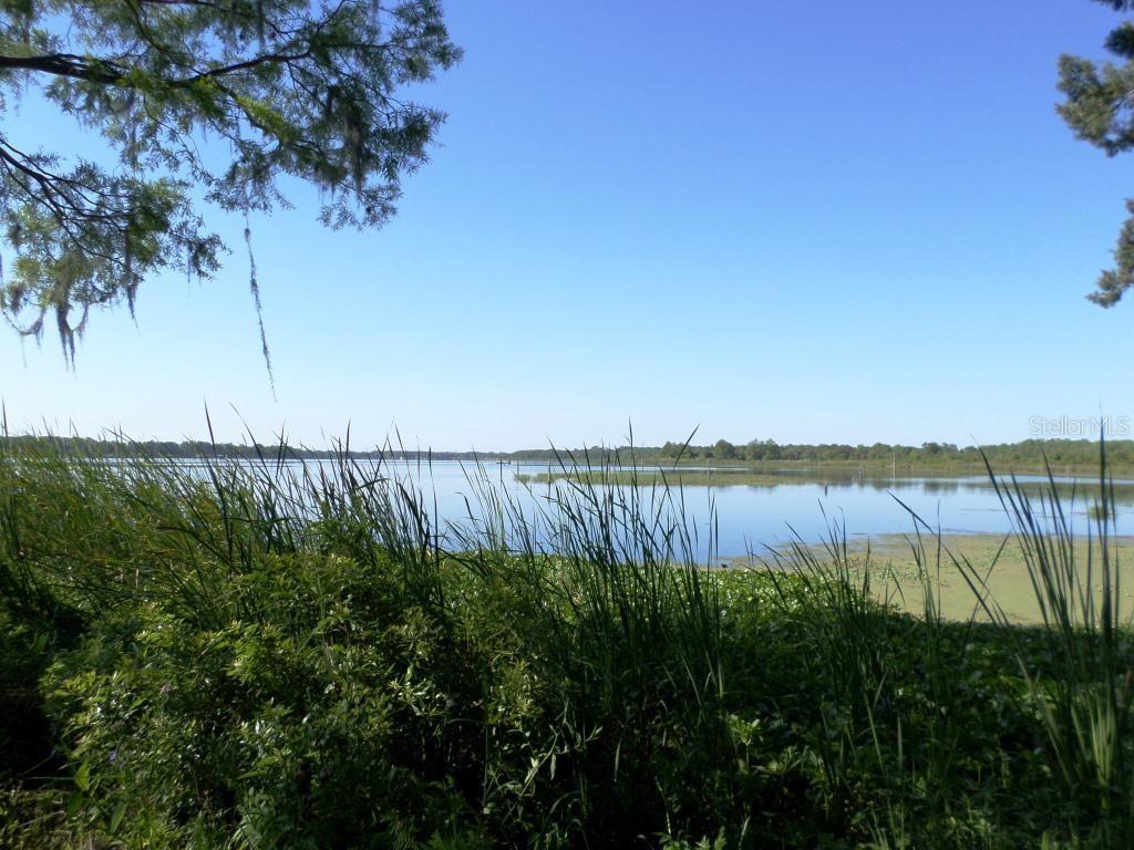 34449 Real Estate Listings Main Image