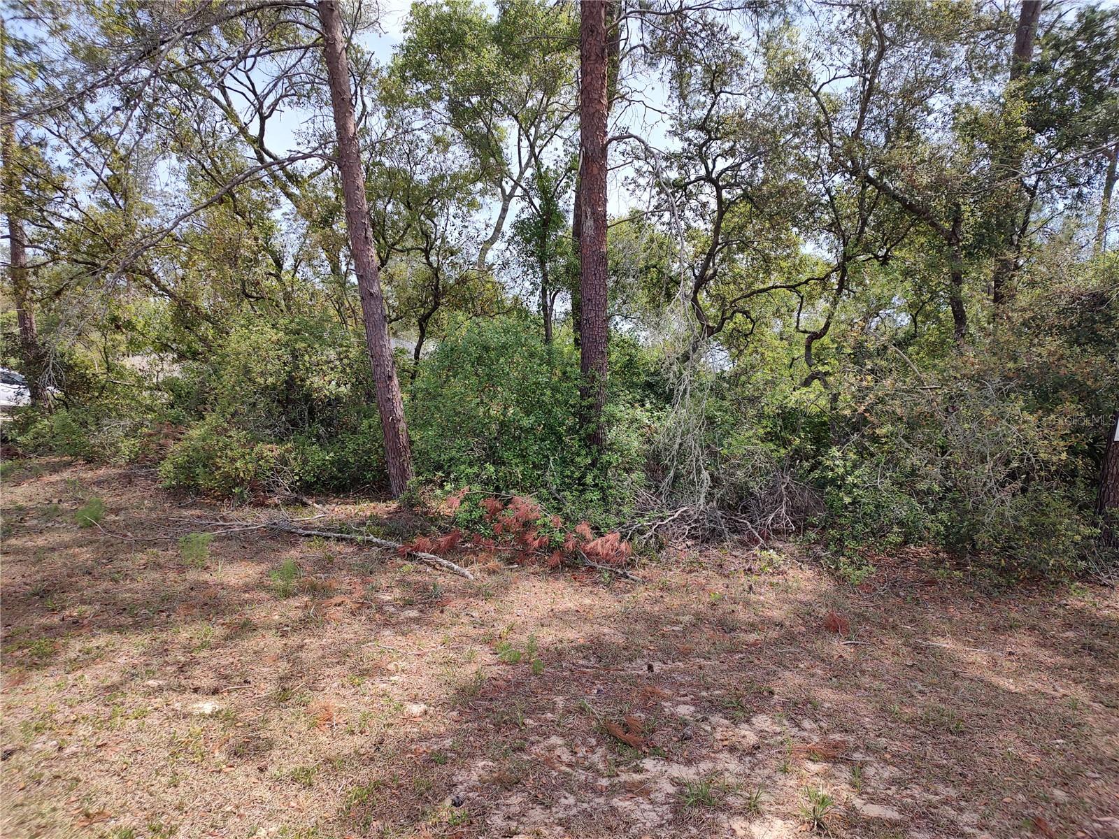 No Situs Sw 41st Ave. Rd Property Photo