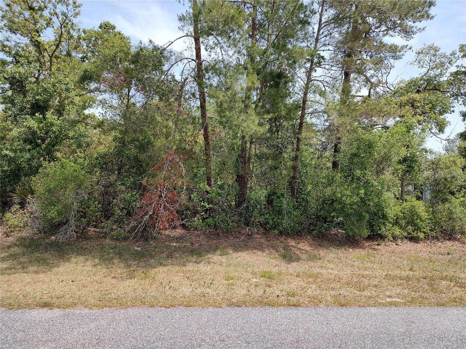 No Situs Sw 46th Cir Property Photo