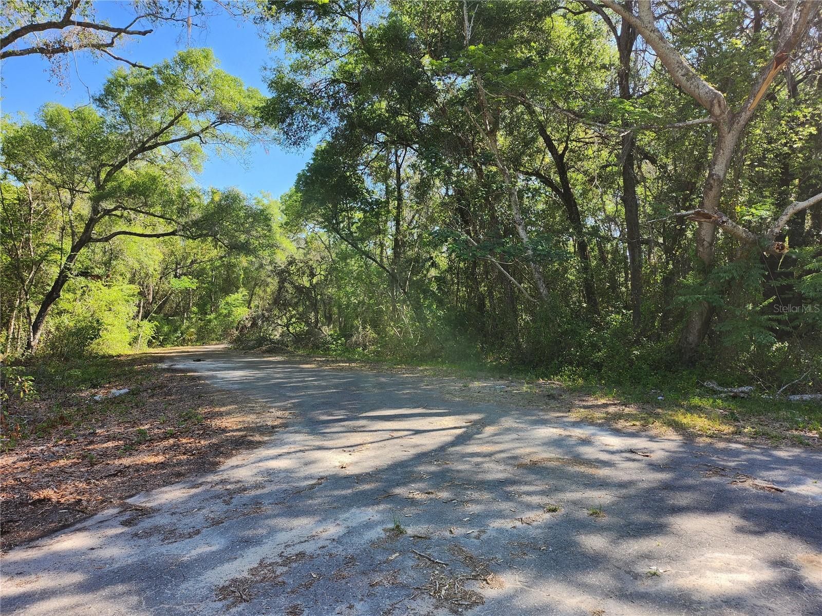 Tbd Guava Terr Loop Property Photo 1