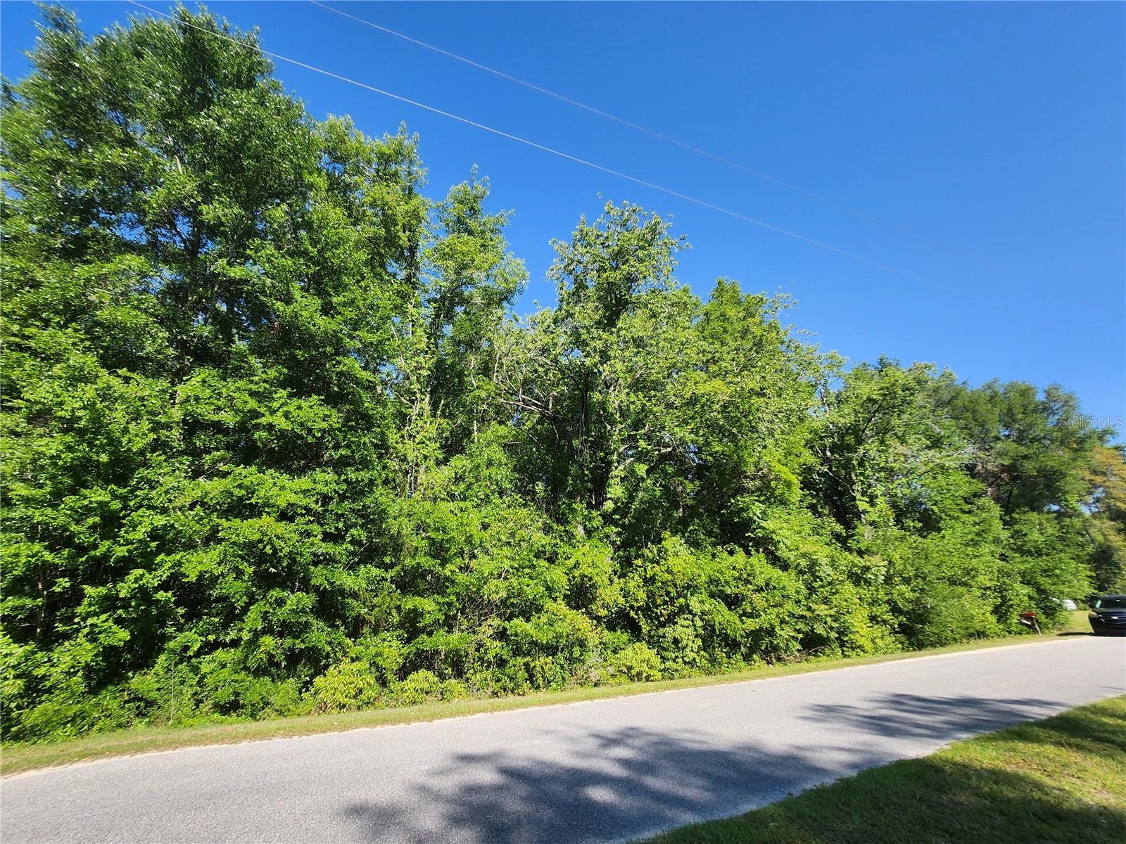 Tbd Sw Yazoo Ct Property Photo