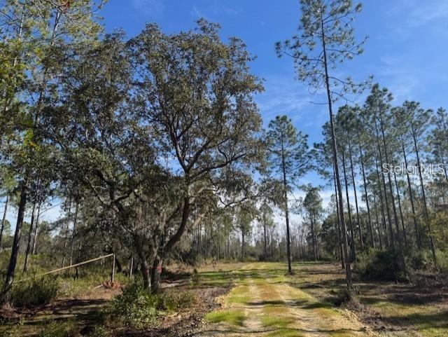 NE 150TH AVE RD #LOT 3 Property Photo 1