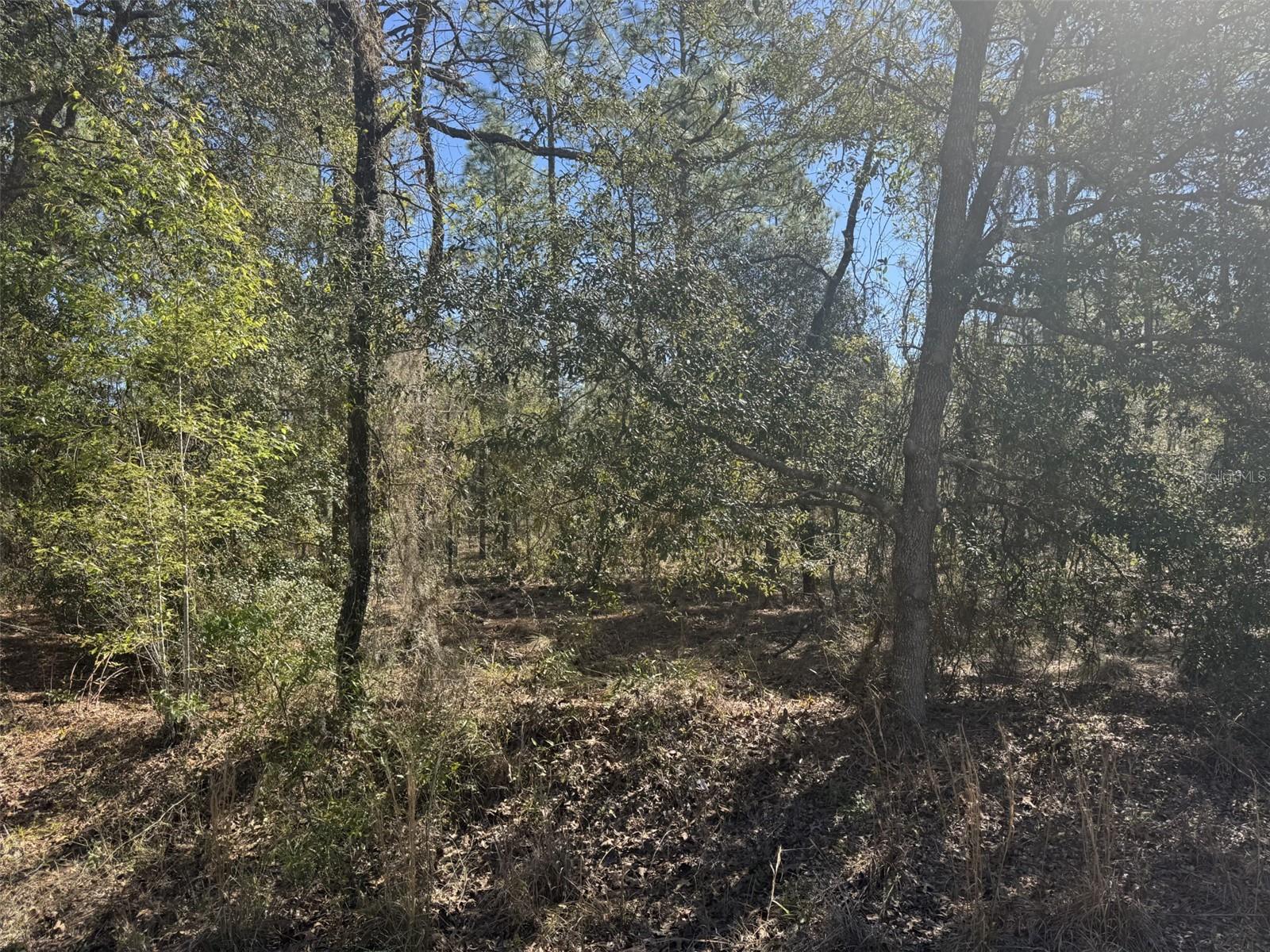 Tbd Smallwood Rd Property Photo