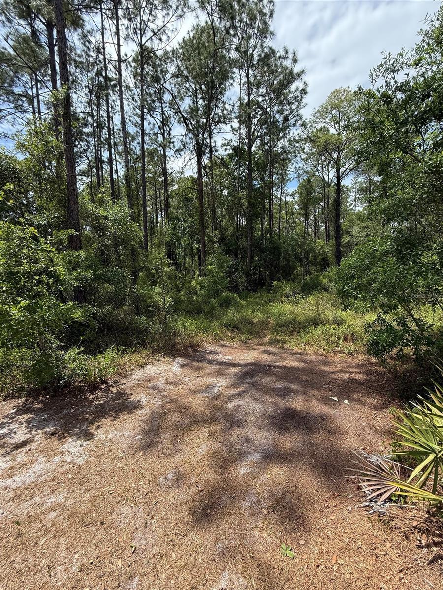 Tbd Ne 156th Ln Property Photo