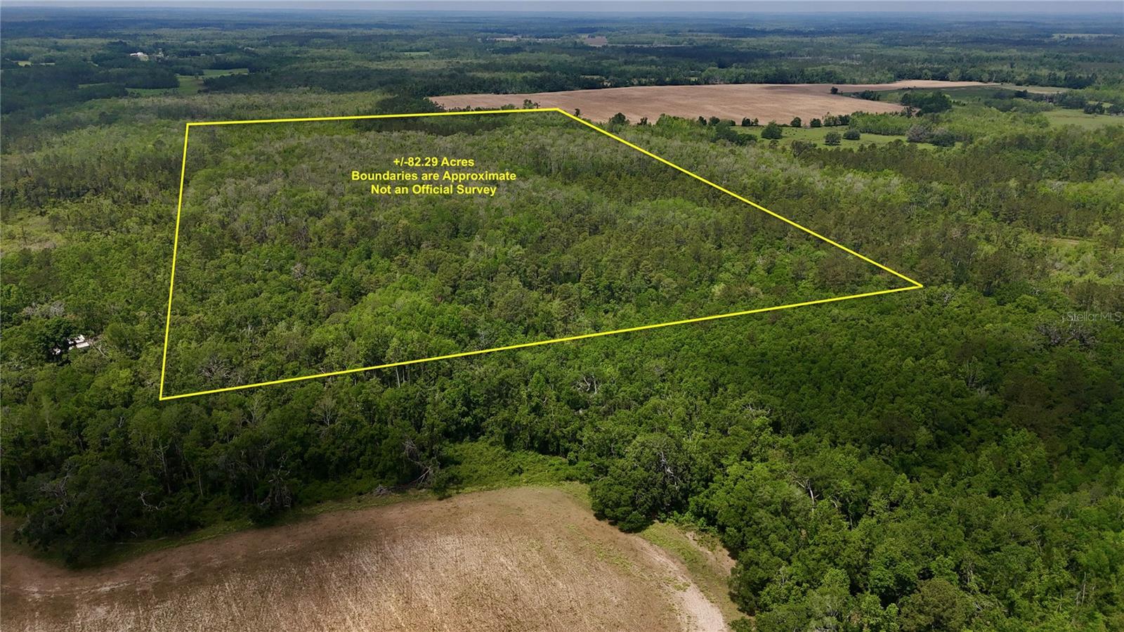 Sw Oviedo Trl Property Photo 1