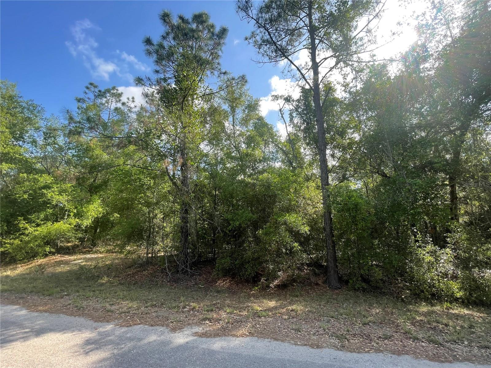 TBD SEQUOIA DR #Lot 16 Property Photo 1