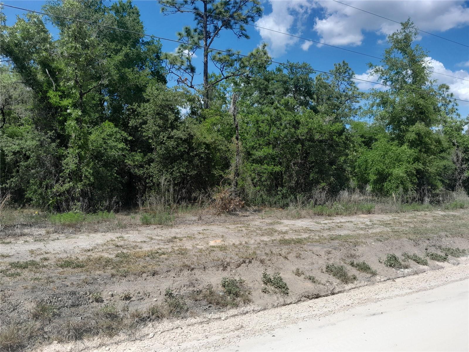 Tbd Ne 63rd Pl Property Photo 3