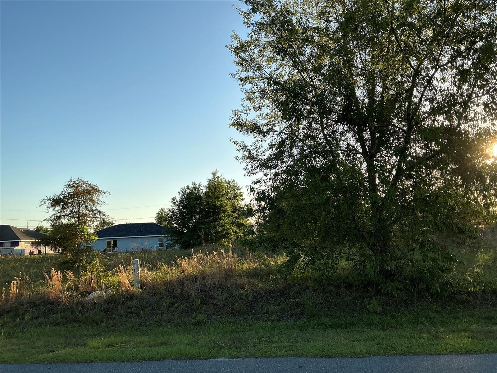 0 Chestnut Ln Property Photo 1