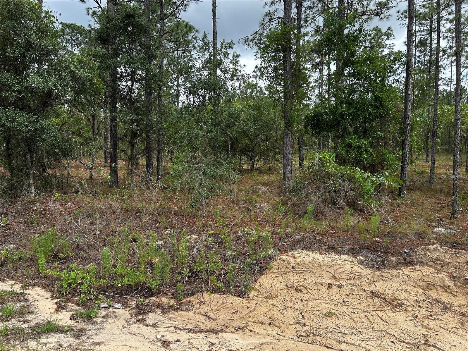 Tbd Nw Foxglove Ln Property Photo 2