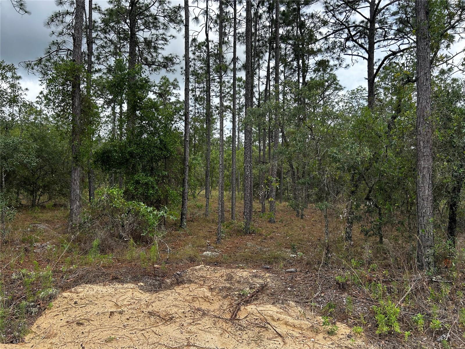 Tbd Nw Foxglove Ln Property Photo 3
