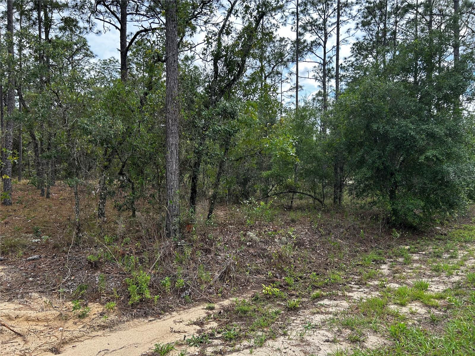 Tbd Nw Foxglove Ln Property Photo 4
