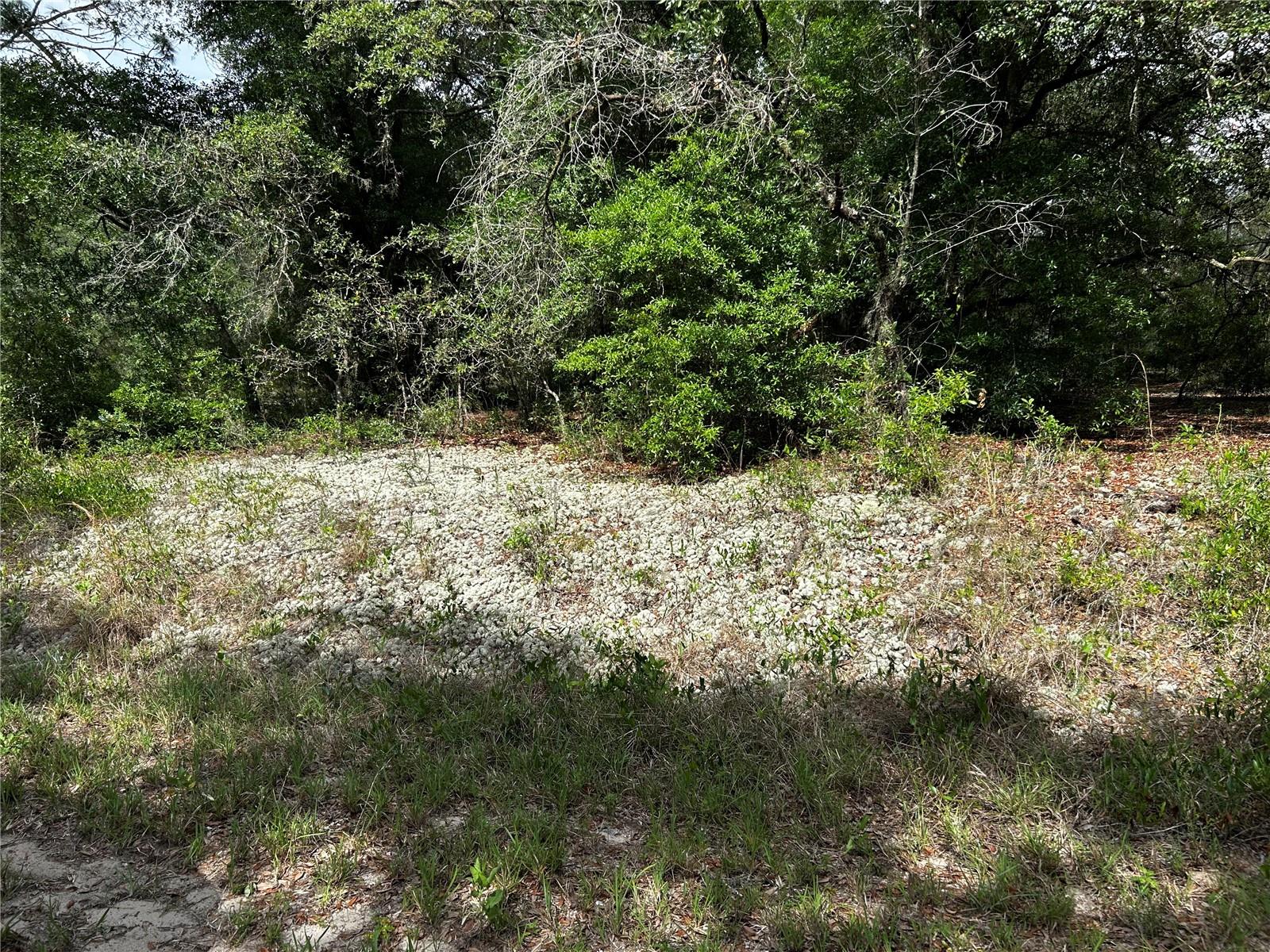Tbd Uplands Ave Property Photo 2