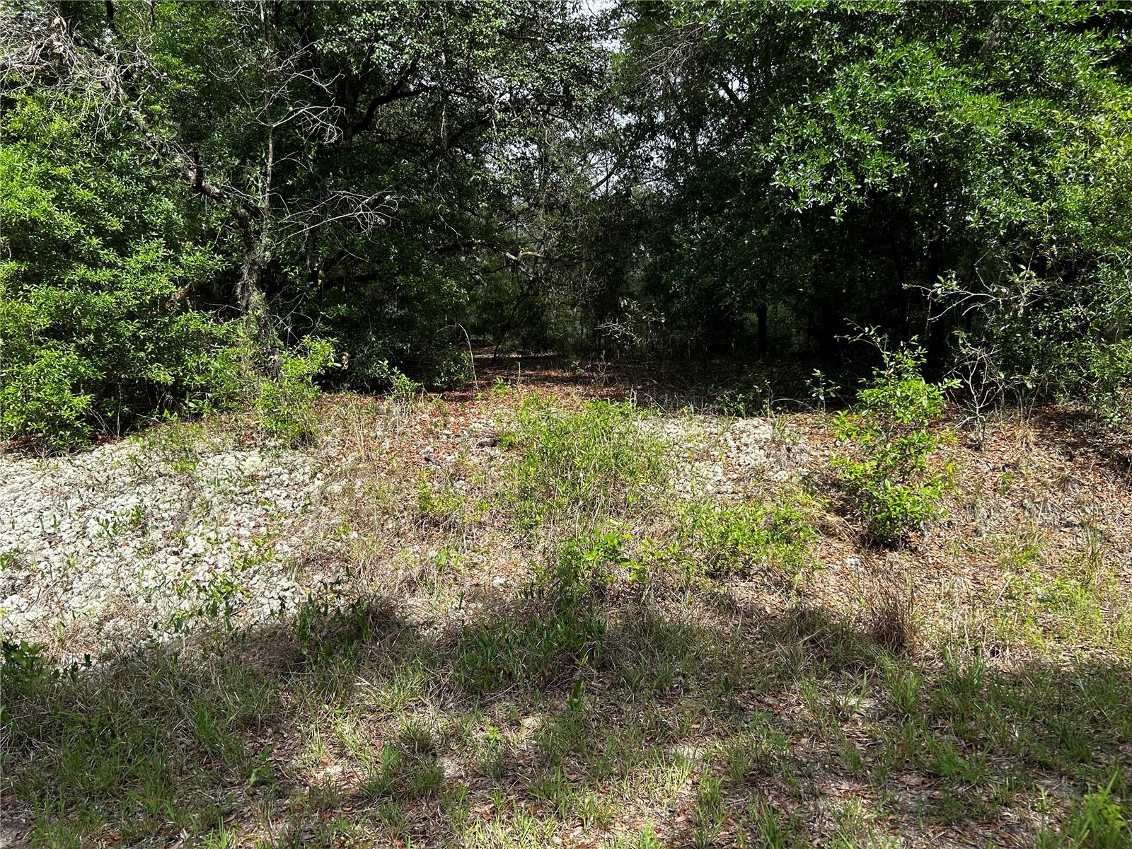 Tbd Uplands Ave Property Photo 3