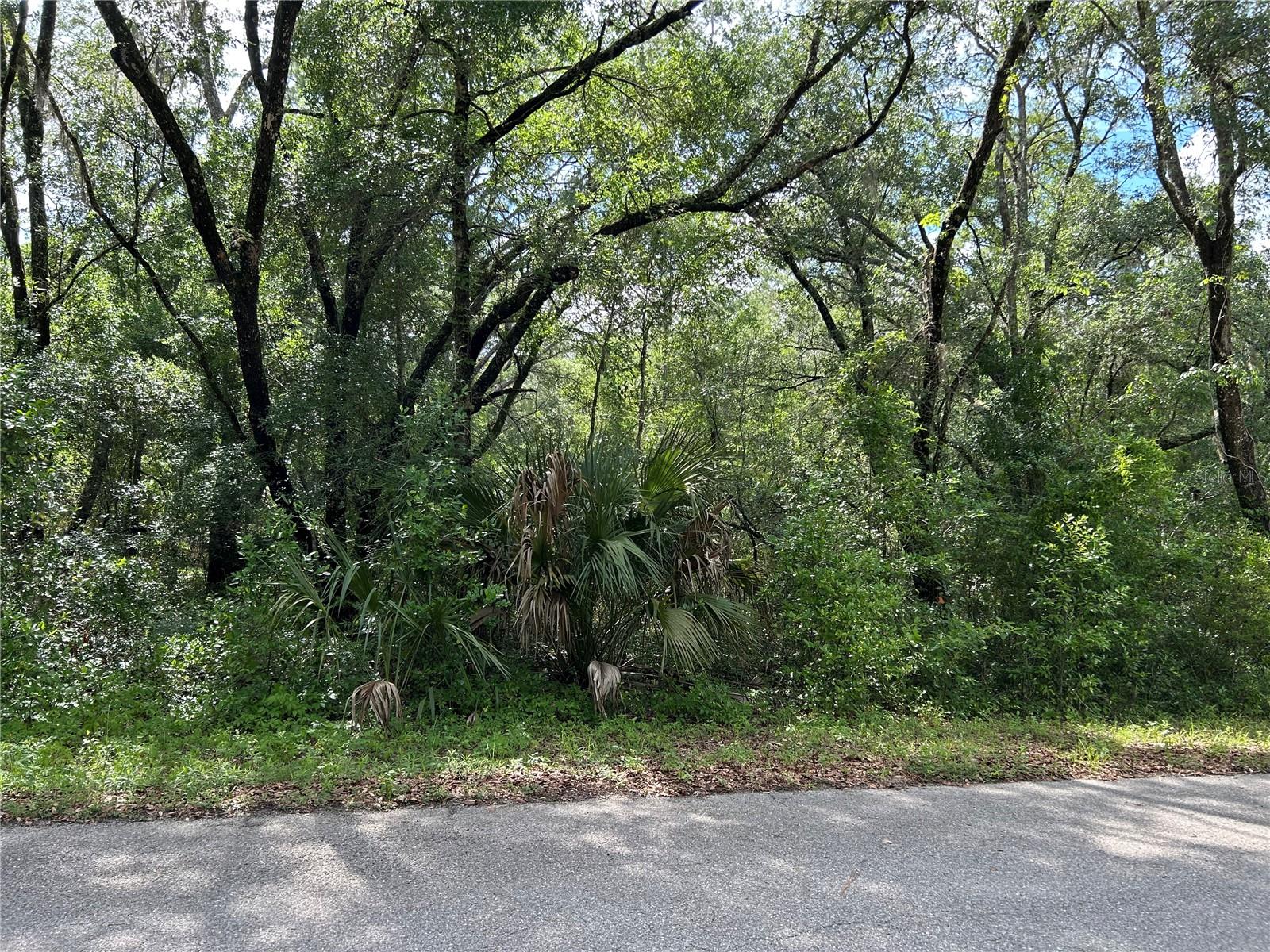 Tbd Uplands Ave Property Photo 4