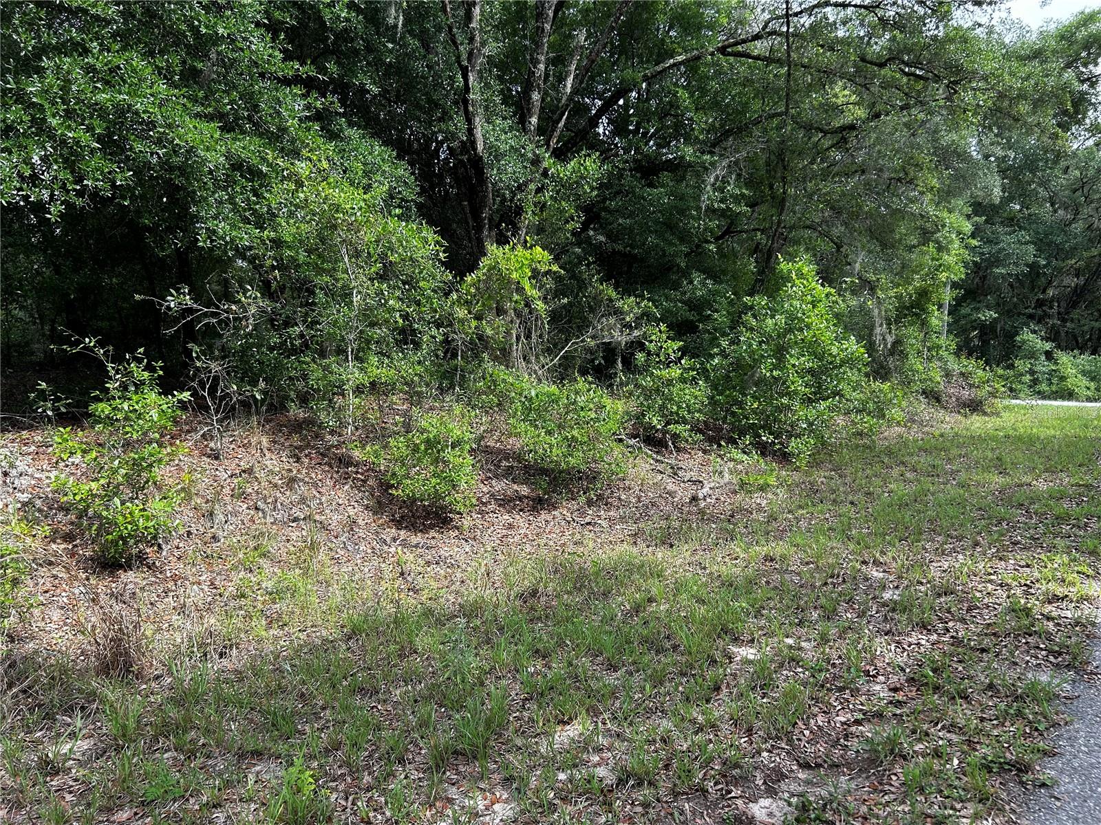 Tbd Uplands Ave Property Photo 5