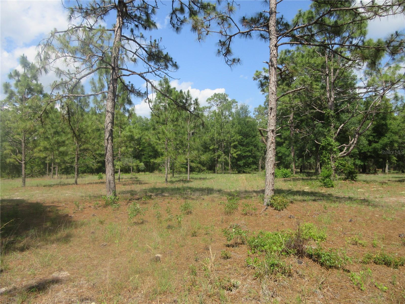 3201 S Highway 314a Property Photo