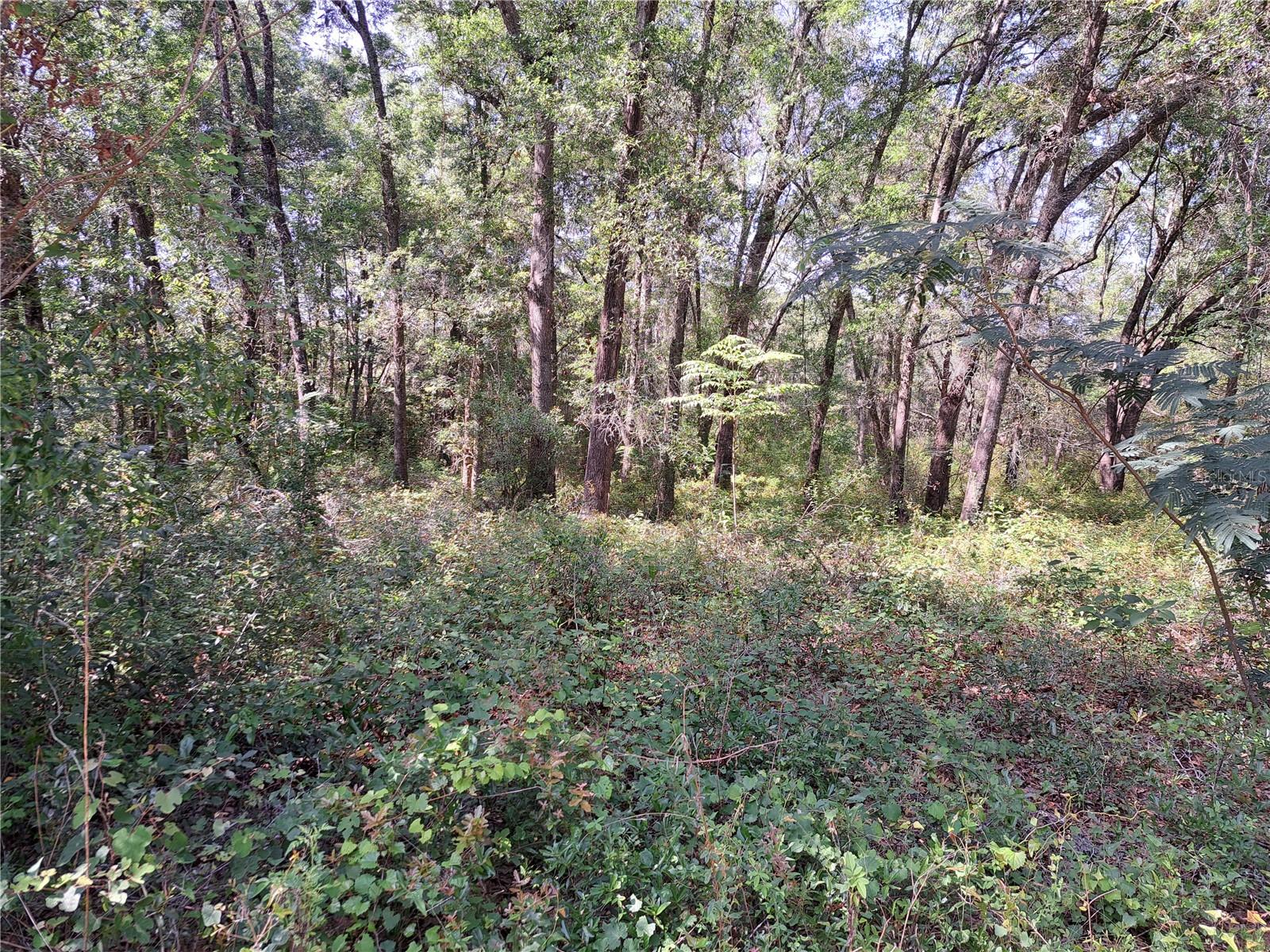 Nw 12th St Property Photo 1