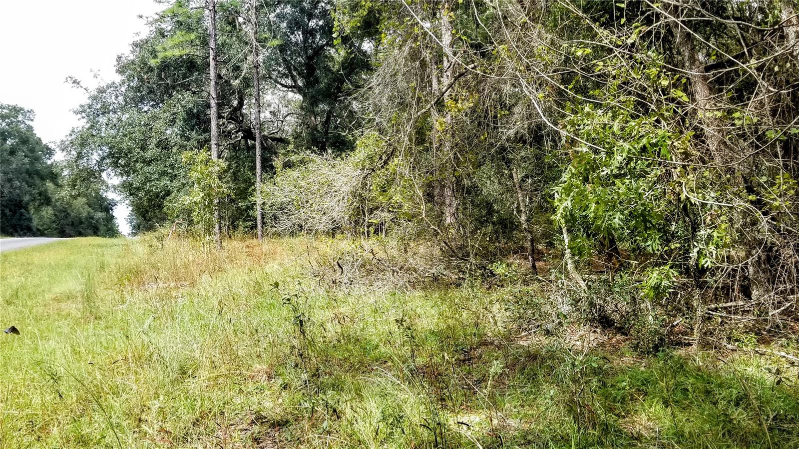 9239 N Irondale Rd Property Photo 8