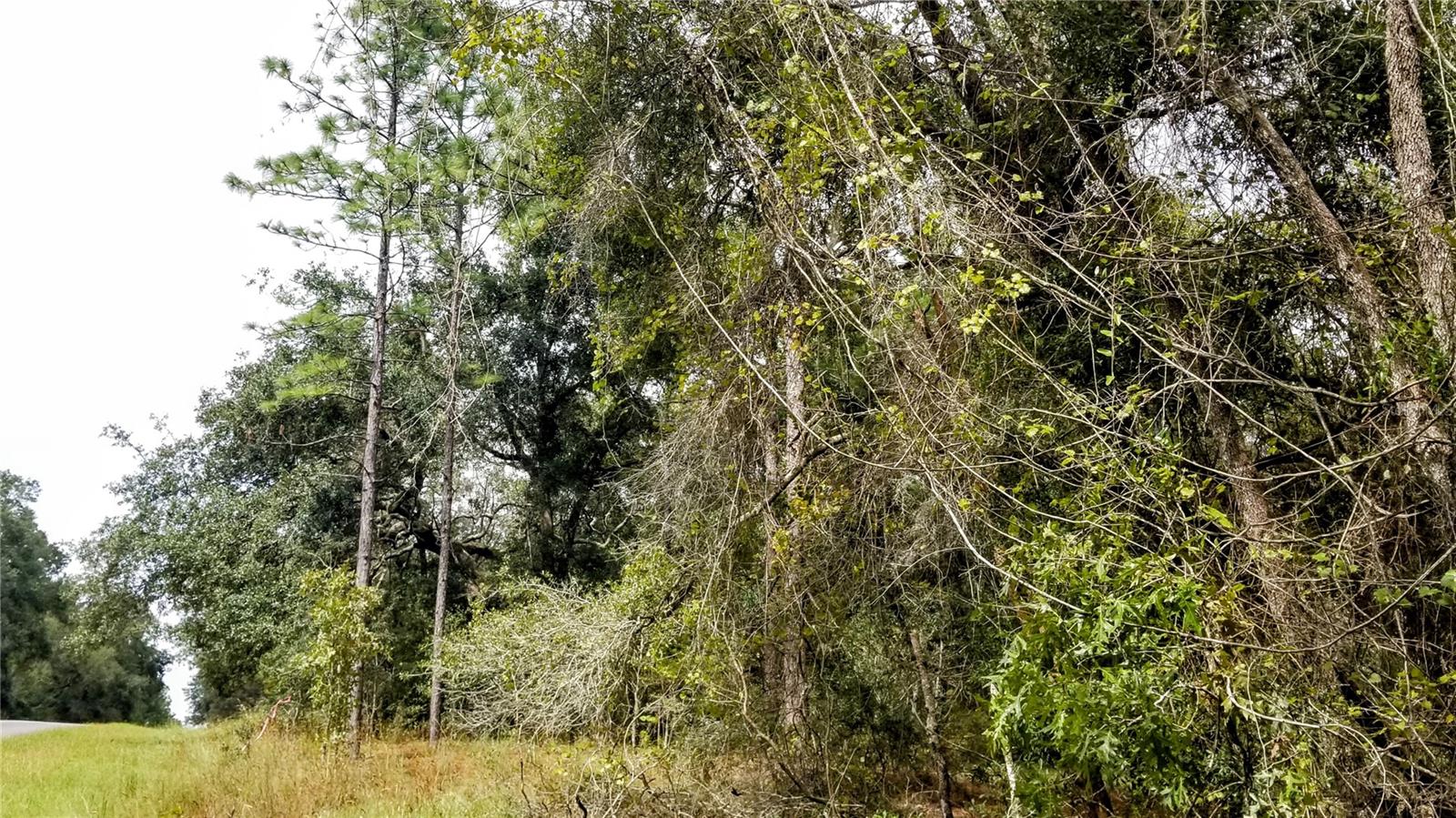 9239 N Irondale Rd Property Photo 11