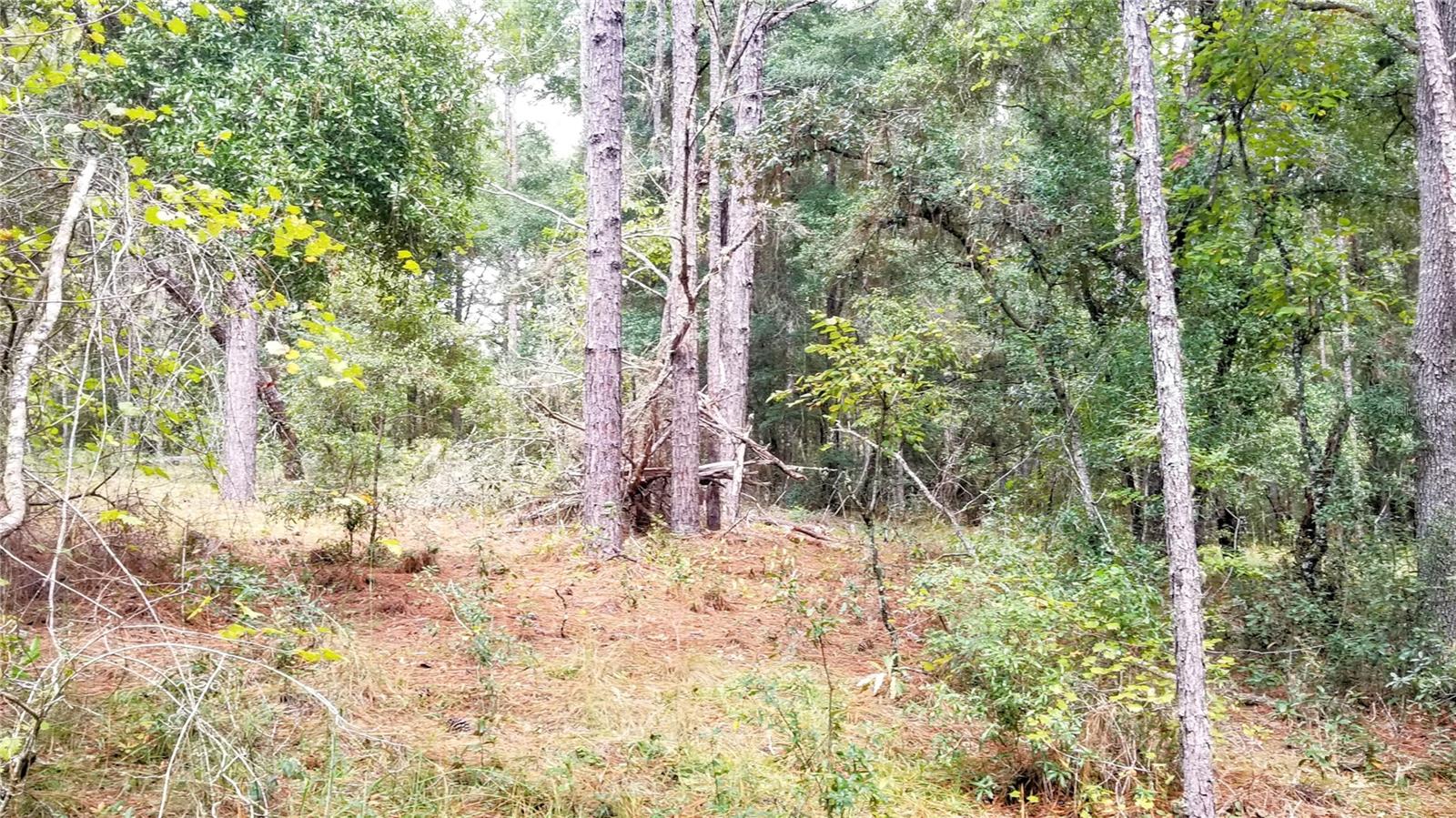 9239 N Irondale Rd Property Photo 20
