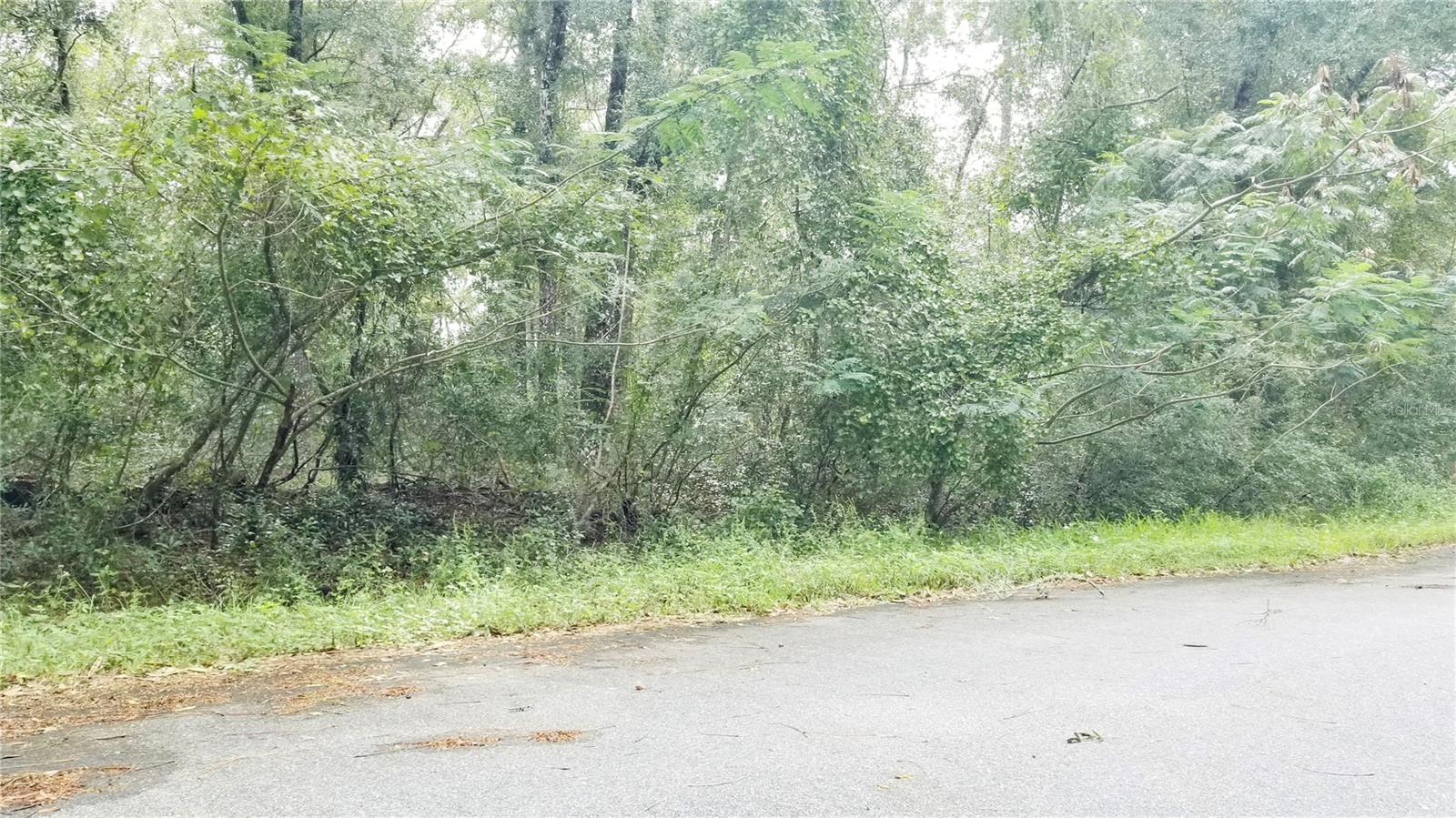 9775 N Dearing Loop Property Photo 8