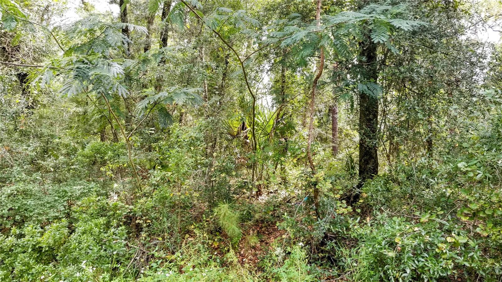 9775 N Dearing Loop Property Photo 10