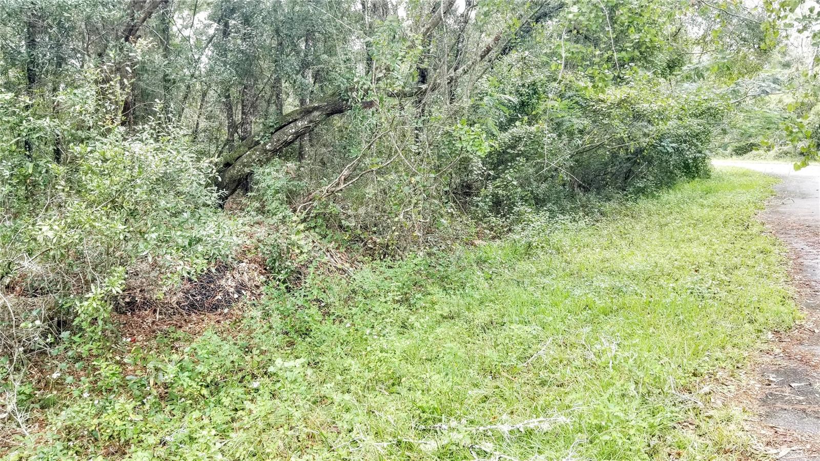 9775 N Dearing Loop Property Photo 18
