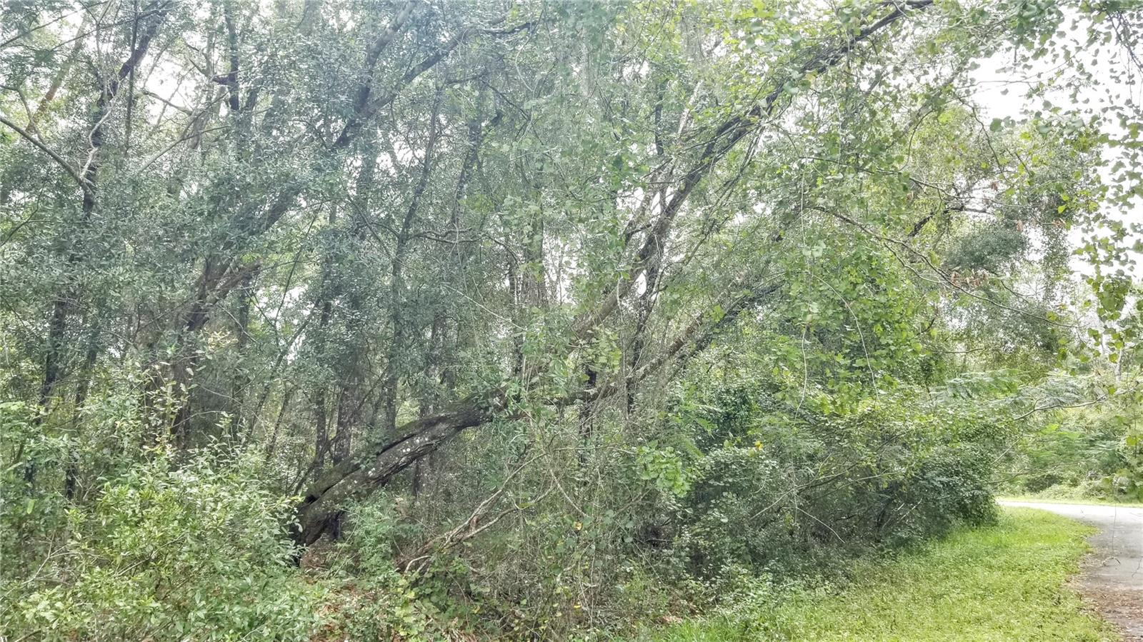 9775 N Dearing Loop Property Photo 19