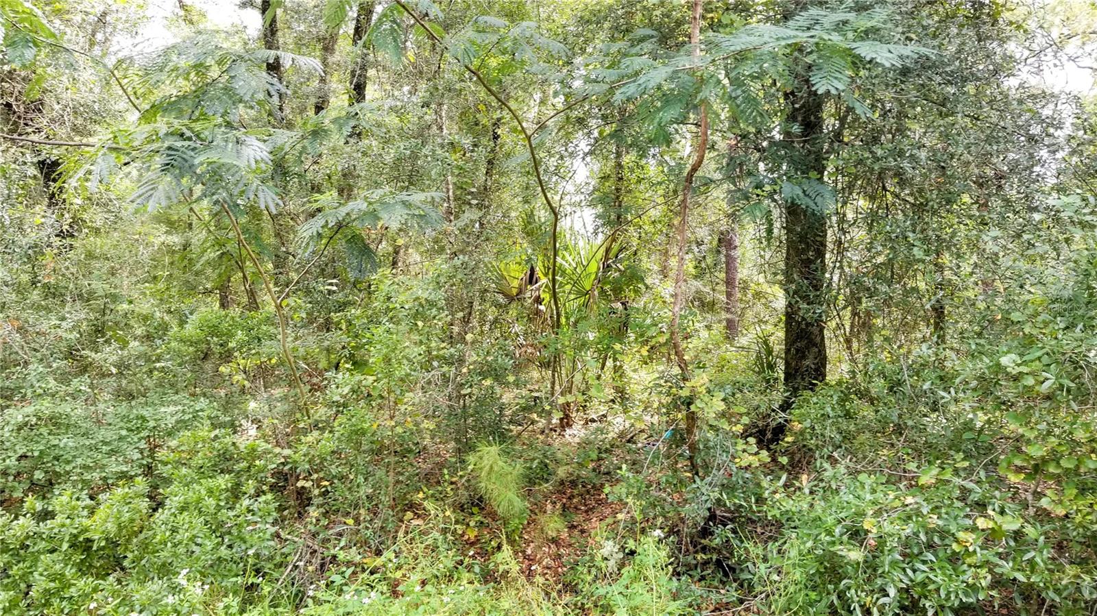 9775 N Dearing Loop Property Photo 20