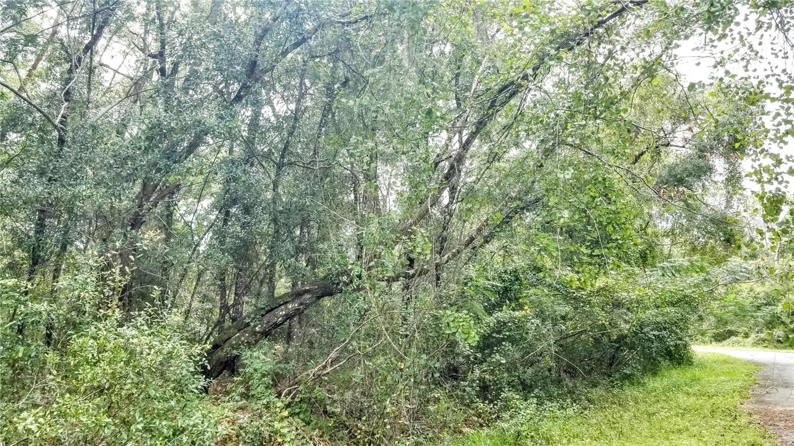 9775 N Dearing Loop Property Photo 22