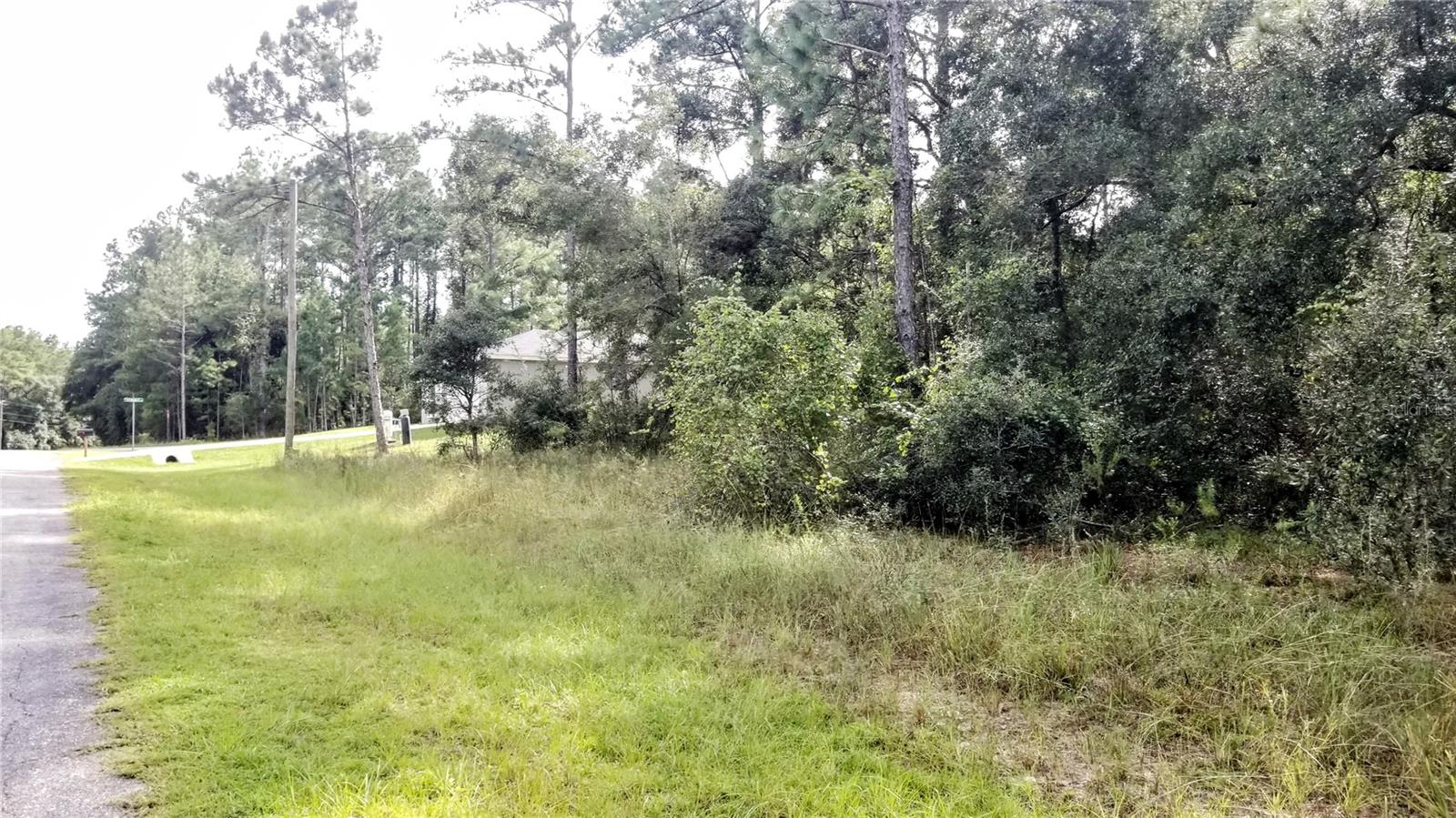 8844 N Lily Dr Property Photo 3