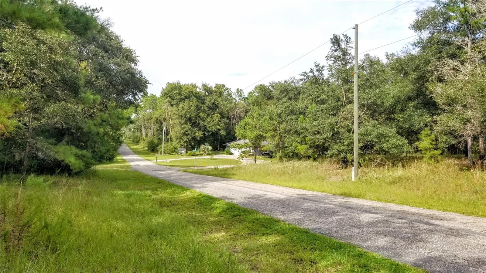 8844 N Lily Dr Property Photo 4