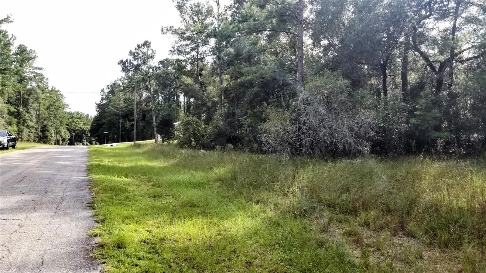 8844 N Lily Dr Property Photo 5