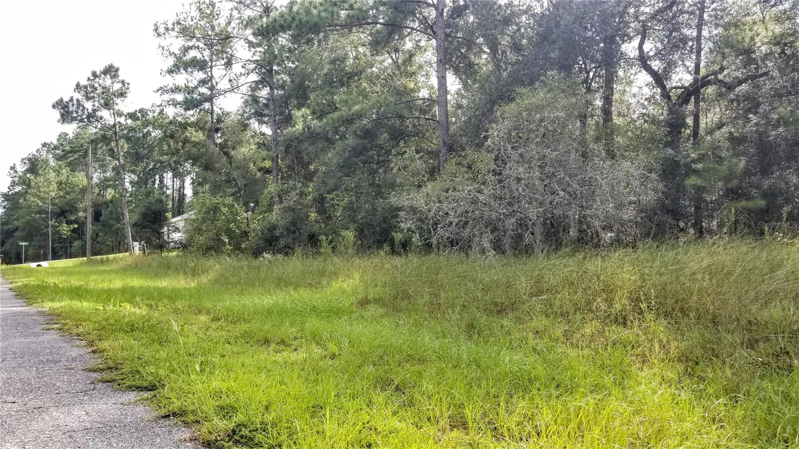 8844 N Lily Dr Property Photo 7