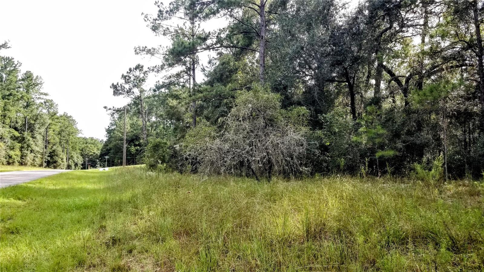 8844 N Lily Dr Property Photo 8