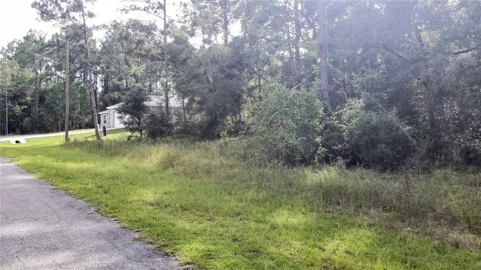 8844 N Lily Dr Property Photo 9