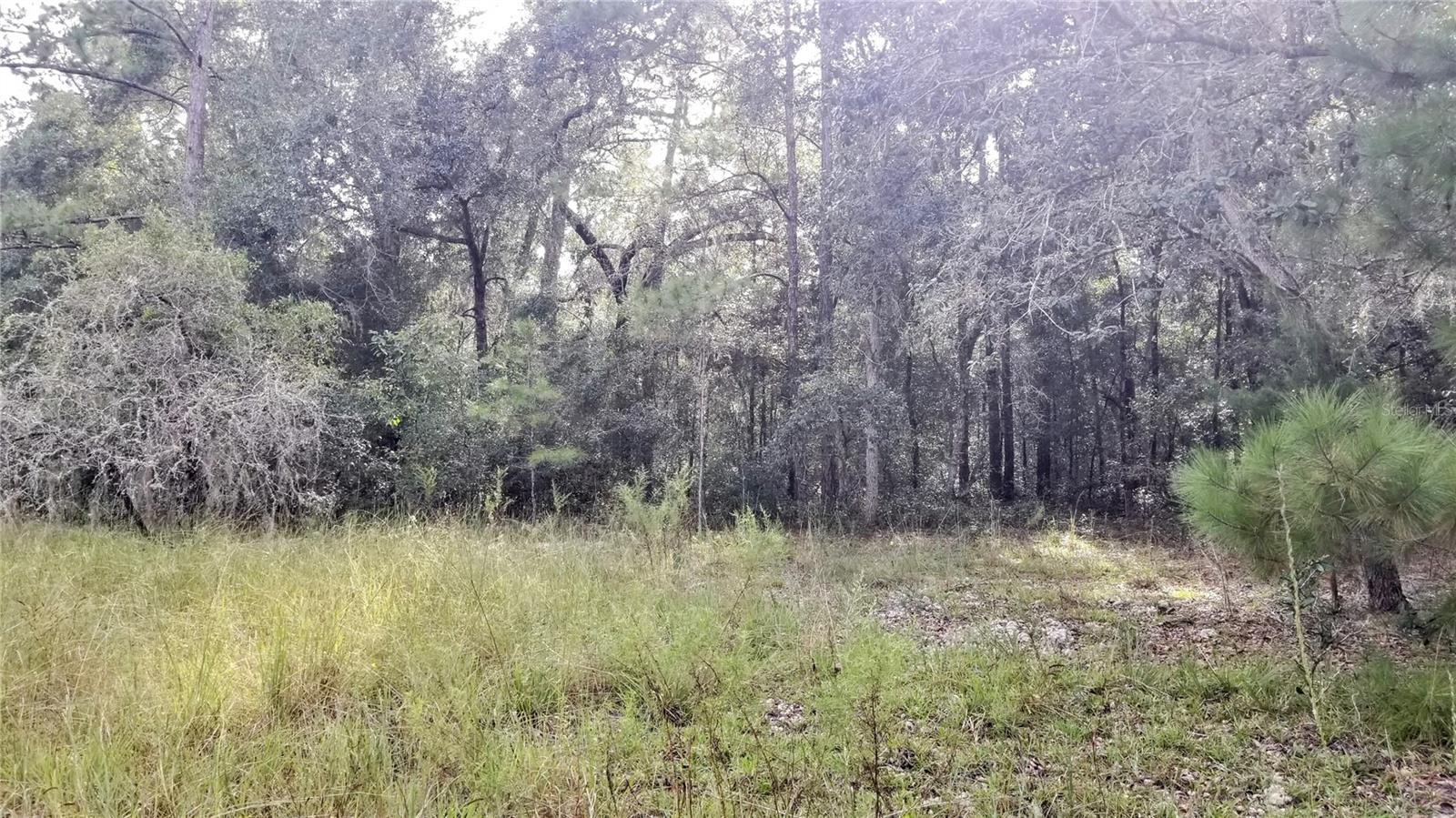 8844 N Lily Dr Property Photo 10