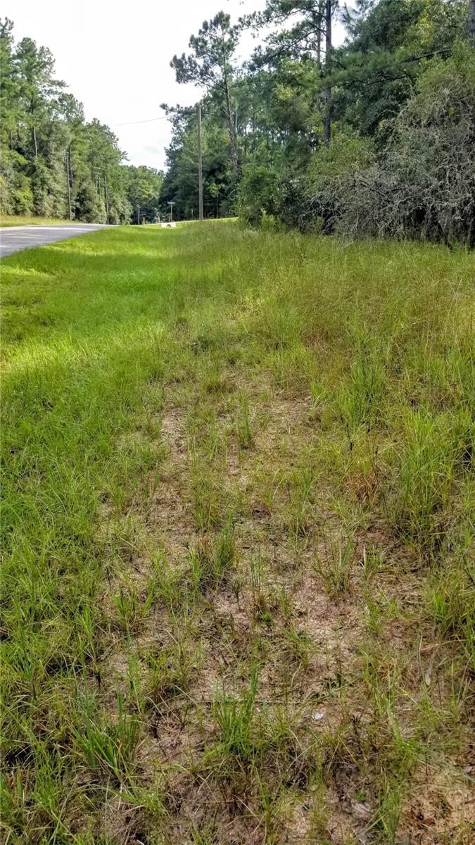 8844 N Lily Dr Property Photo 13