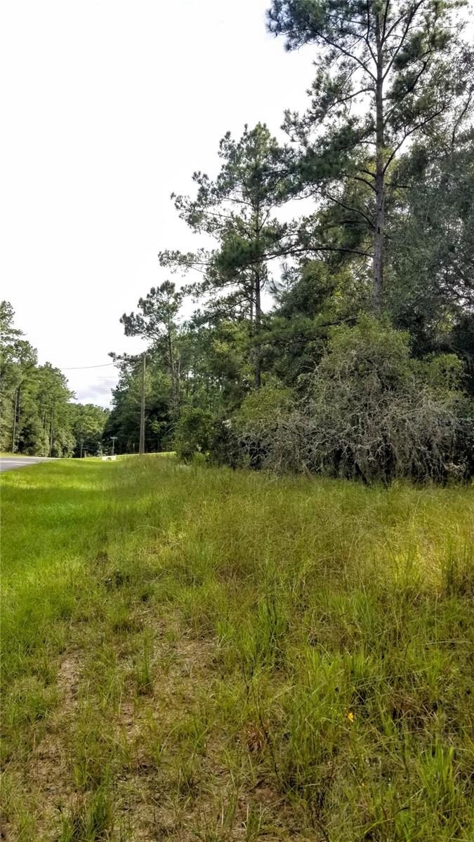 8844 N Lily Dr Property Photo 14