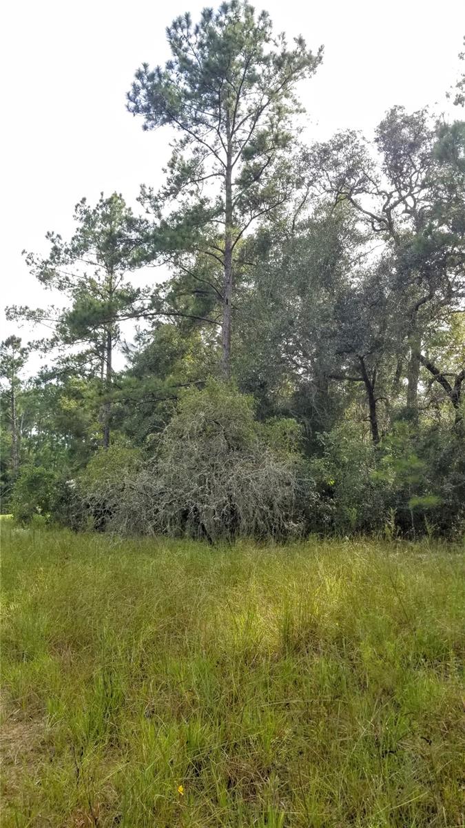 8844 N Lily Dr Property Photo 15